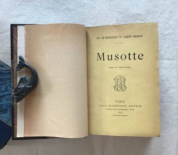Illustration du produit