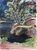 Product Maurice Ehlinger. Lac d'Alfeld. thumbnail