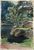 Product Maurice Ehlinger. Lac d'Alfeld. thumbnail