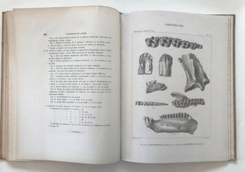 Produktillustration