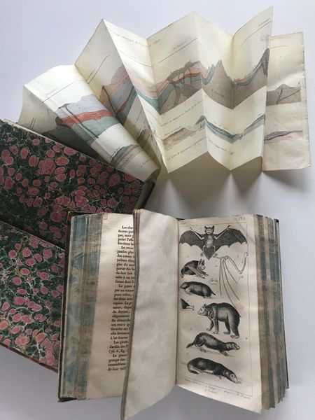 Product image Milne Edwards & Achille Comte. Cahiers d'histoire naturelle.