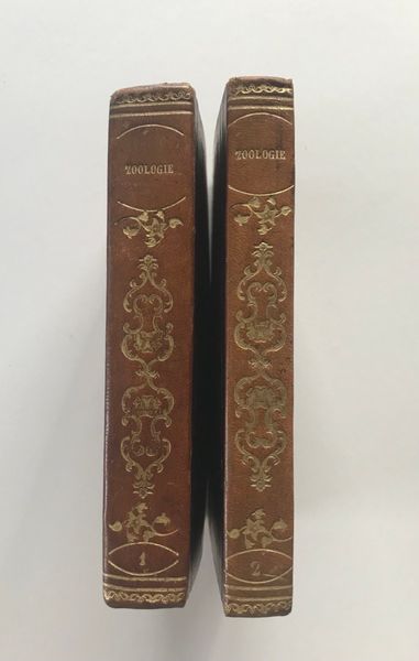 Product image Milne Edwards & Achille Comte. Cahiers d'histoire naturelle.