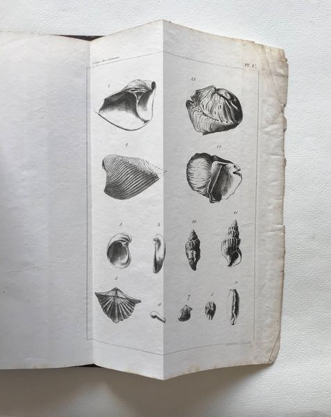 Productafbeelding Minéralogie et géologie des Ardennes. C. Sauvage. 1842.