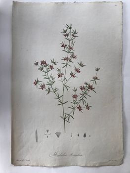 Illustration du produit