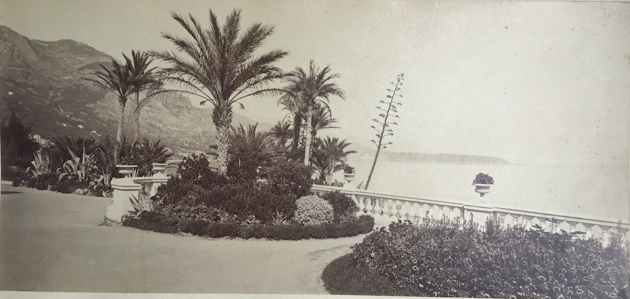 Product Monaco. Les jardins et le bord de mer. thumbnail