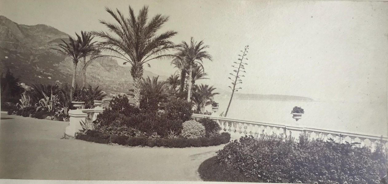 Product image Monaco. Les jardins et le bord de mer.