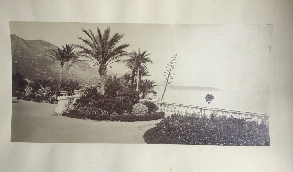 Product image Monaco. Les jardins et le bord de mer.