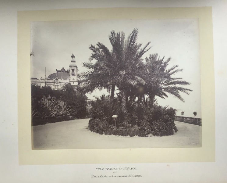Image du produit Monte Carlo. Les jardins et le casino.