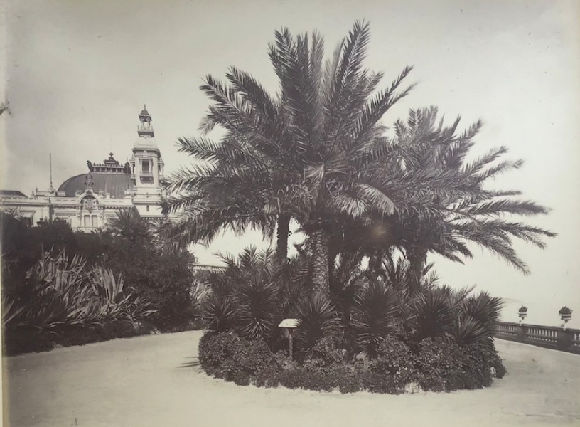 Image du produit Monte Carlo. Les jardins et le casino.