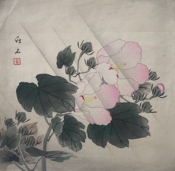 Productafbeelding Nagamachi Chikuseki. Cotton rose in rain.