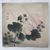 Product Nagamachi Chikuseki. Cotton rose in rain. miniatuur