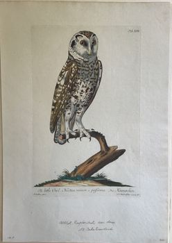 Produktillustration