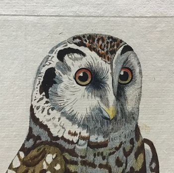 Produktillustration