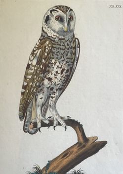 Produktillustration