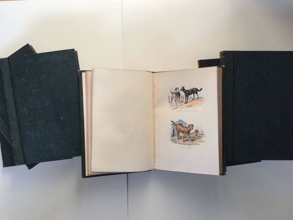 Image du produit Oeuvres complètes de Buffon. Avec des dessins de Victor Adam.
