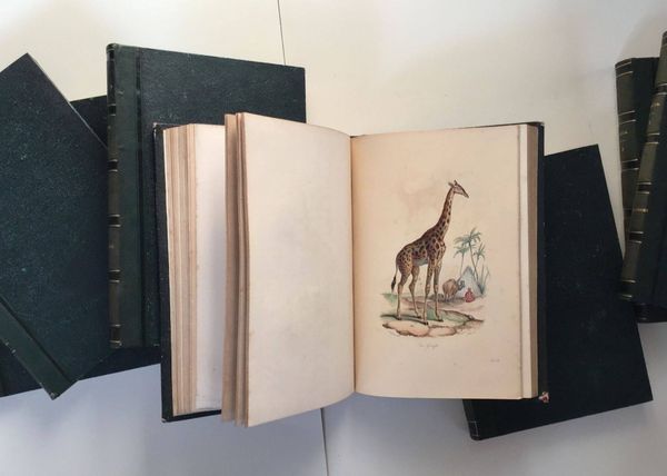 Image du produit Oeuvres complètes de Buffon. Avec des dessins de Victor Adam.