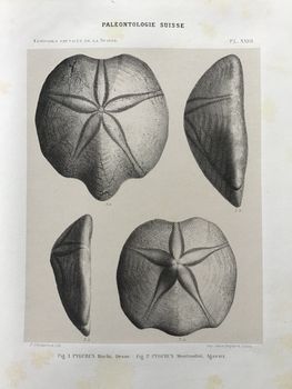 Product illustration