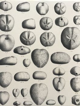 Product illustration