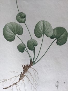 Produktillustration