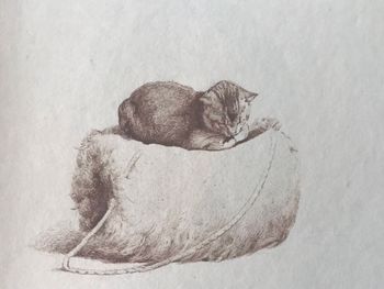 Product illustration