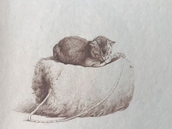 Image du produit Paul Avril. Suite des gravures pour L'Ombrelle - Le Gant - Le Manchon d'Octave Uzanne.