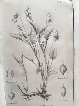 Illustration du produit