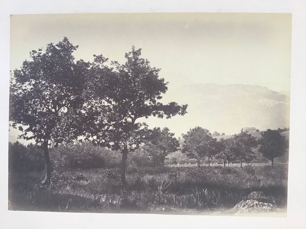 Productafbeelding Pays Basque. France. 12 photographies vers 1865. Michel Pacault.