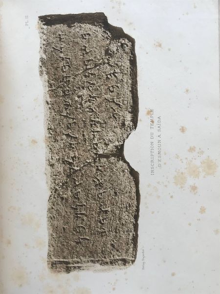 Productafbeelding Philippe Berger. Sidon. Tanit. La trinité carthaginoise. Hadrumète. Chypre.