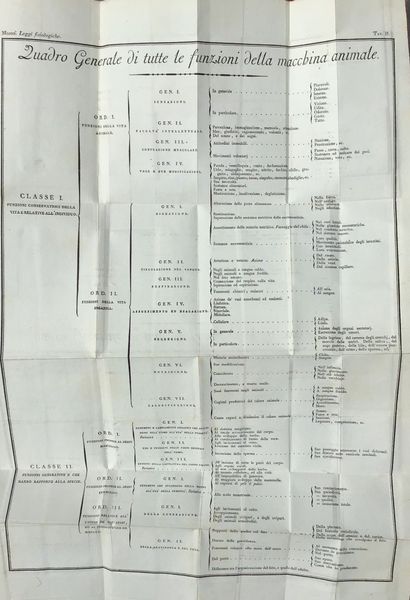 Image du produit Physiologie. Médecine.