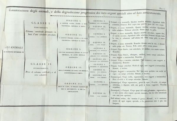 Image du produit Physiologie. Médecine.