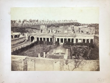Illustration du produit