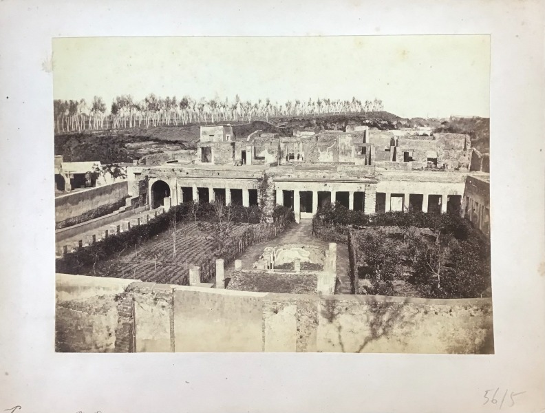 Productafbeelding Pompei, Maison Diomède
