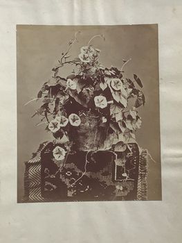 Produktillustration