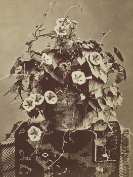 Produktillustration