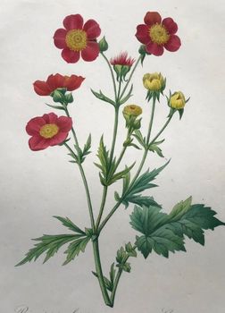 Produktillustration