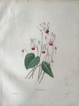 Illustration du produit