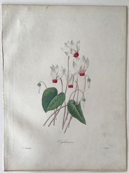 Illustration du produit