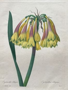 Illustration du produit