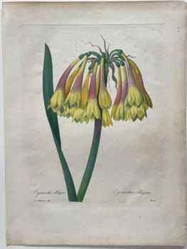 Illustration du produit