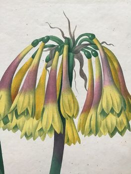 Illustration du produit