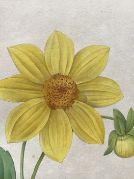 Product illustration