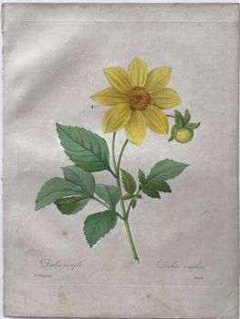 Product illustration