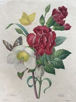Produktillustration