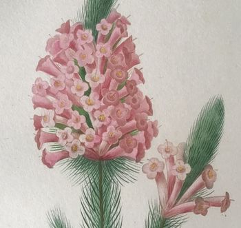 Product illustration