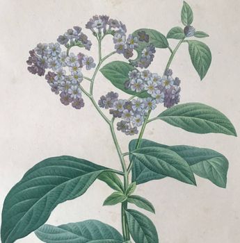 Illustration du produit