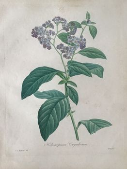 Illustration du produit