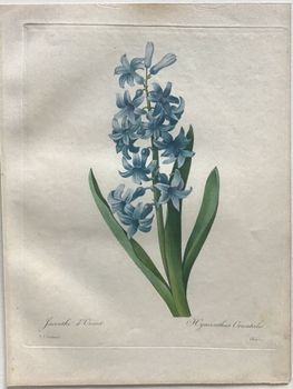 Product illustration