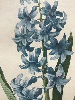 Product illustration