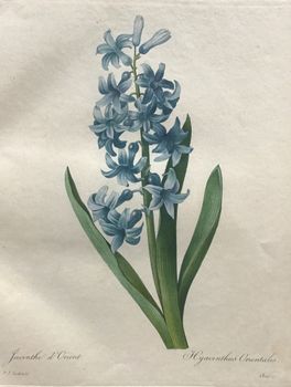 Product illustration