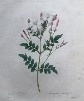 Produktillustration